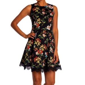 NWT Printed Scuba Dress